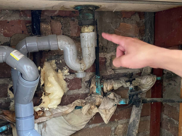 Best Water damage cleanup near me  in Hempstead, TX