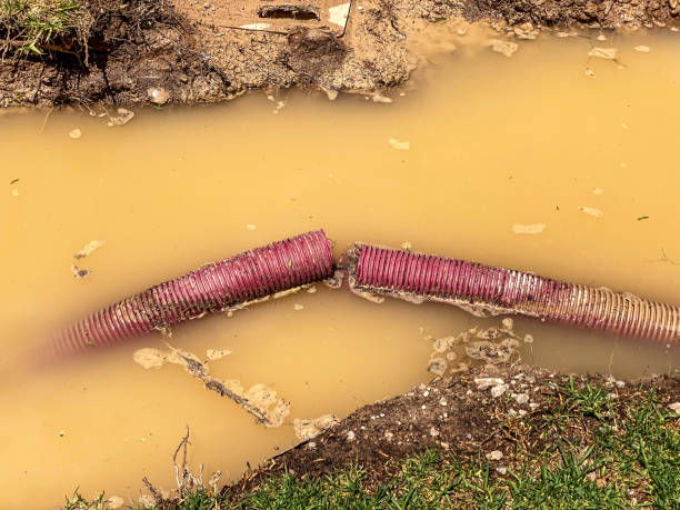 Best Emergency water damage restoration  in Hempstead, TX